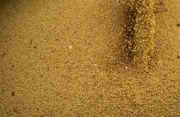  Agro cresce 11,7%, impulsiona PIB e ganha participação na economia 